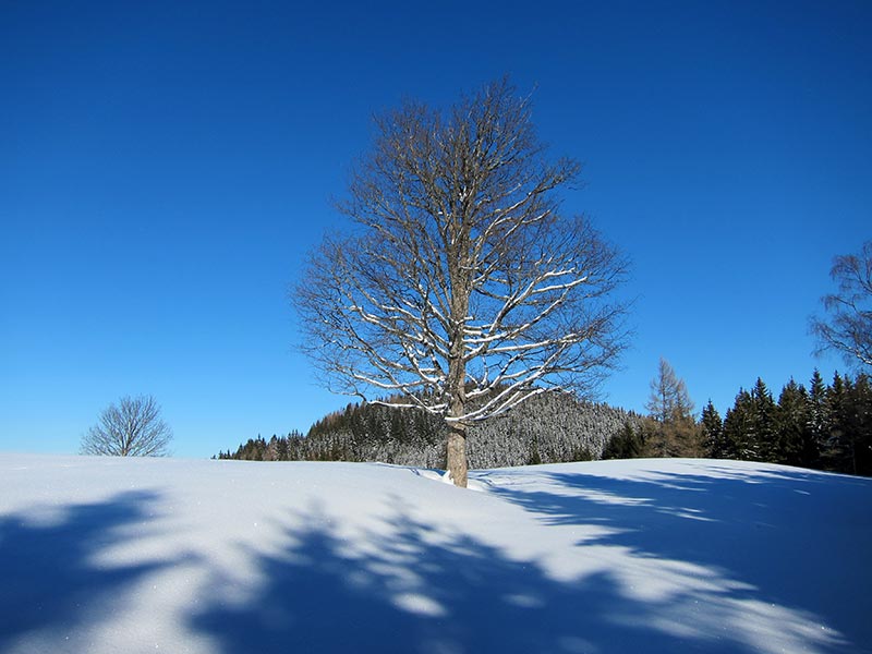 hochschlag